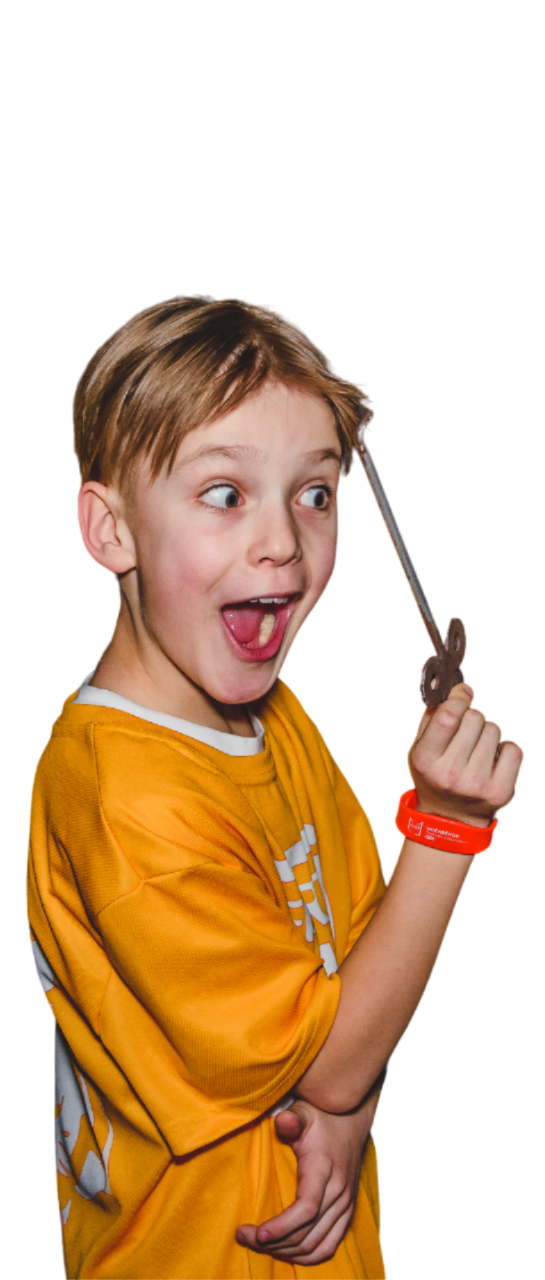 Новый год в стиле Форт Боярд